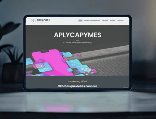 aplicapymes2